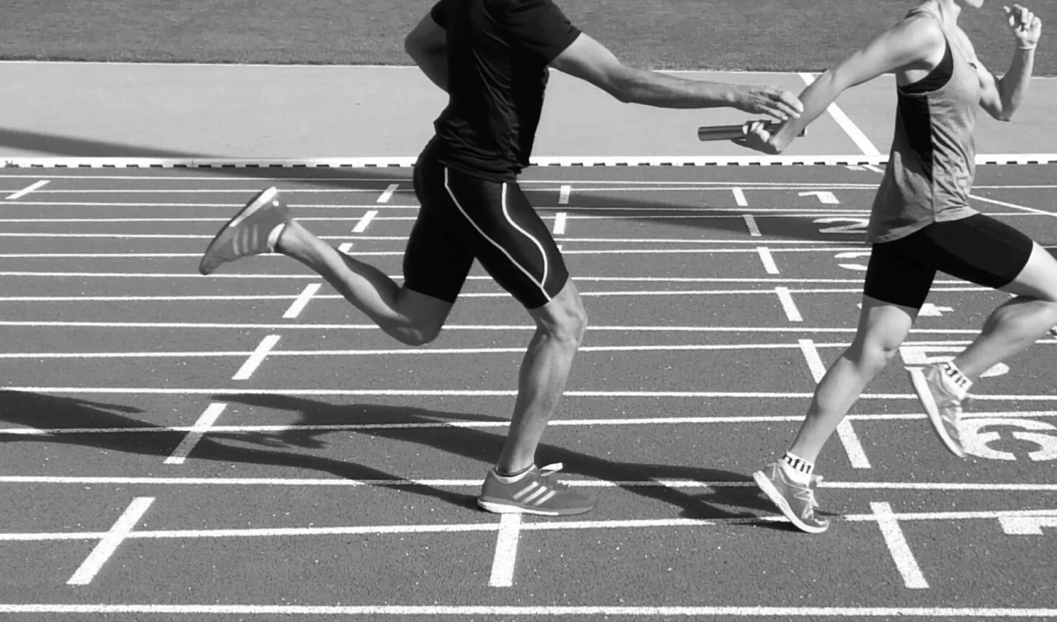 agenda.ch Change software to agenda.ch